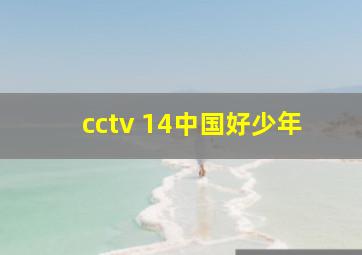 cctv 14中国好少年